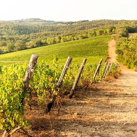 agriturismo e cantina Tenuta Casteani Ribolla Esterno foto